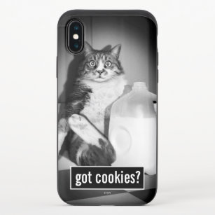 Cat Drinking Milk From Jug iPhone X Slider Case