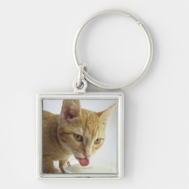Cat drinking milk key ring (Front)