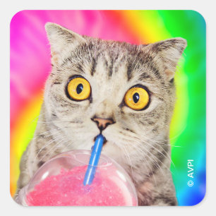 Cat Drinking Slushie Square Sticker