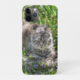 Cat During Eclipse iPhone 11 Pro Case