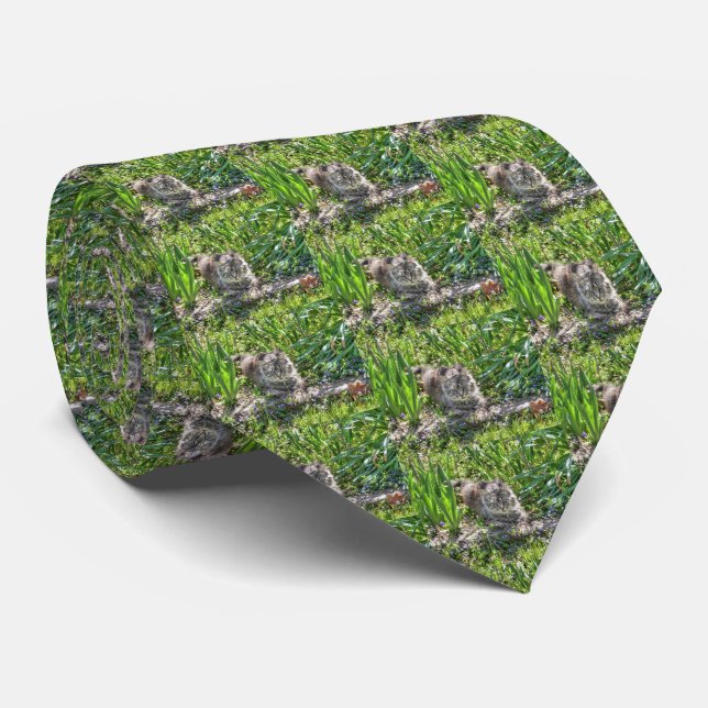 Cat During Eclipse Tie (Rolled)