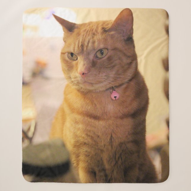 Cat Duvet Cover Fleece Blanket (Front)