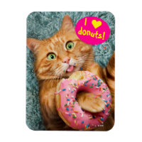 Cat Eating Doughnut