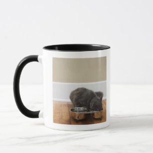 Cat eating from bowl mug