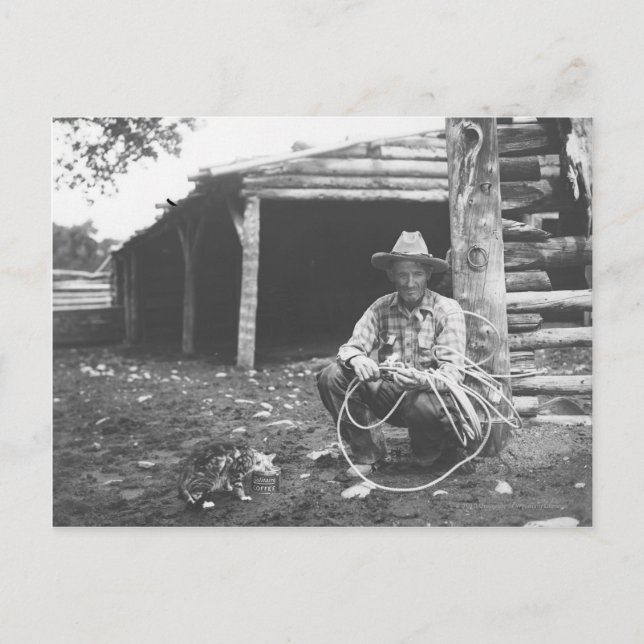 Cat eating out of a coffee can postcard (Front)