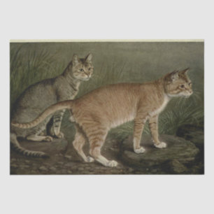 Cat Ephemera Decoupage Brown Orange Tabby Tissue Paper