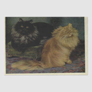 Cat Ephemera Decoupage Smoke Orange Persians Tissue Paper