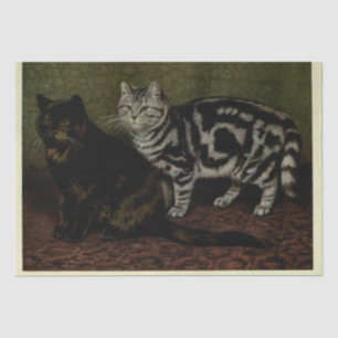 Cat Ephemera Decoupage Tortoiseshell Silver Tabby Tissue Paper