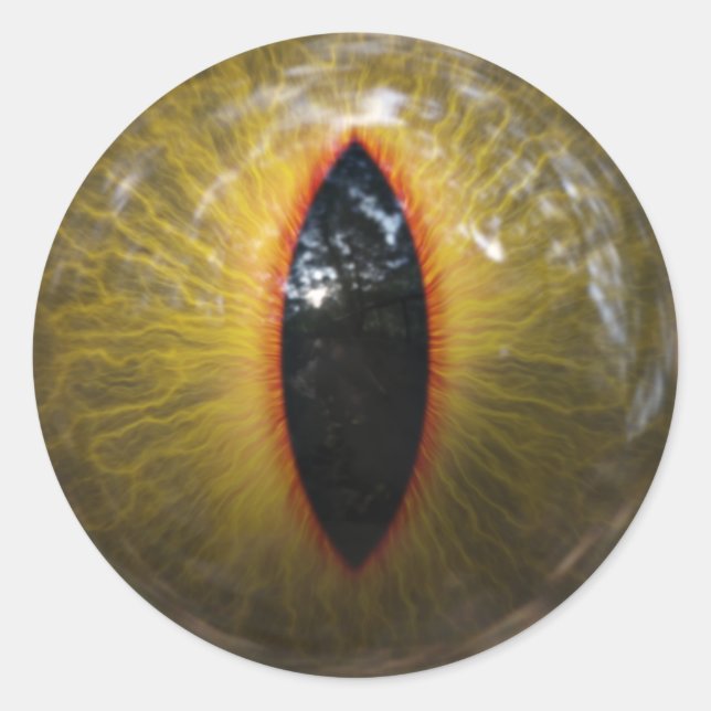 Cat Eye Classic Round Sticker (Front)