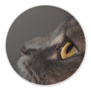 Cat Eye-Macro by Shirley Taylor Ceramic Knob