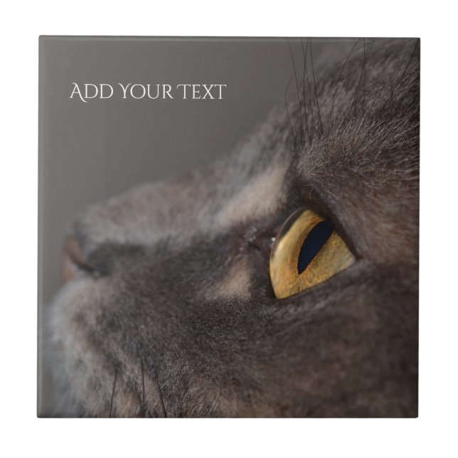 Cat Eye-Macro by Shirley Taylor Ceramic Tile (Front)