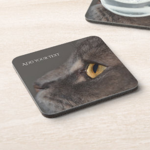 Cat Eye-Macro by Shirley Taylor Coaster