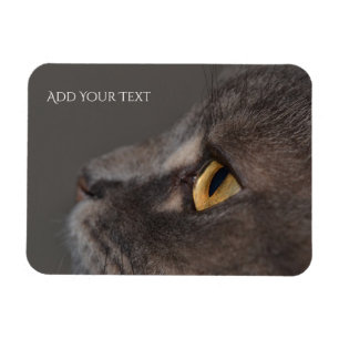 Cat Eye-Macro by Shirley Taylor Magnet