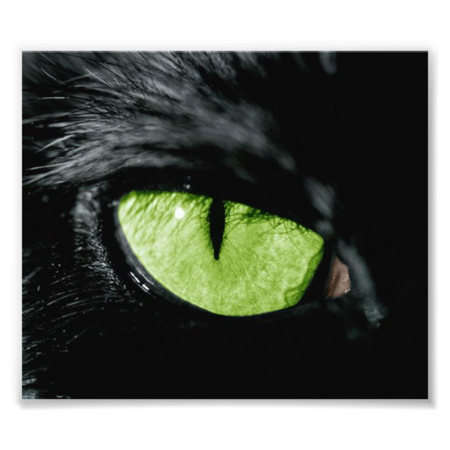 Cat eye photo print (Front)