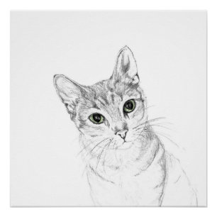 Cat Eyes A Pencil Drawing Poster