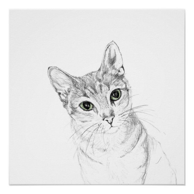 Cat Eyes A Pencil Drawing Poster (Front)