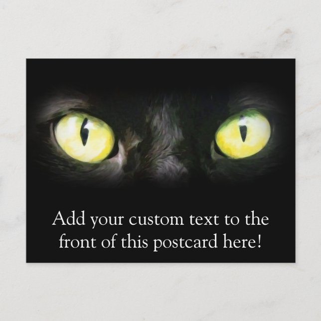 Cat Eyes, Black and Yellow Stare Postcard (Front)
