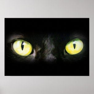 Cat Eyes, Black and Yellow Stare Poster