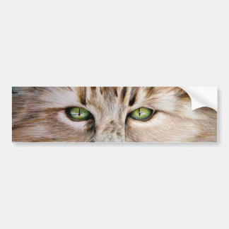 Cat Eyes Bumper Sticker