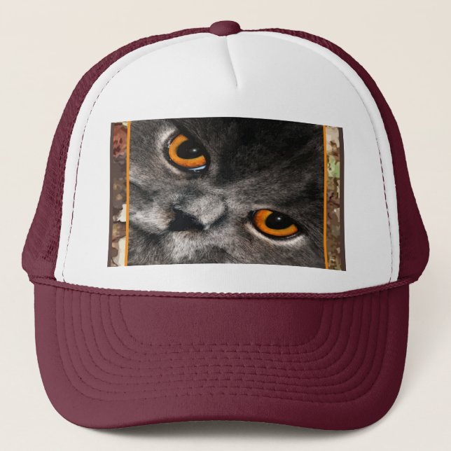 Cat Eyes Cap (Front)