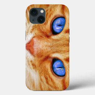 Cat Eyes Cat Eyes Face Tiger Mackerel Red Cat iPhone 13 Case