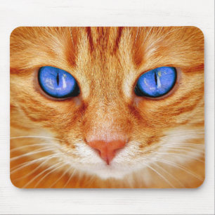 Cat Eyes Cat Eyes Face Tiger Mackerel Red Cat Mouse Pad