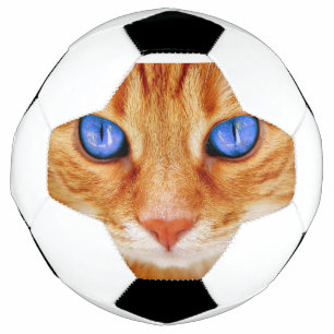 Cat Eyes Face Tiger mackerel red Cat Soccer Ball