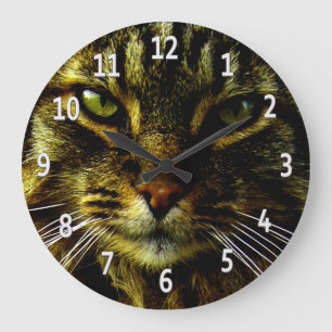 Cat Eyes Hypnotising Framed Photo Large Clock