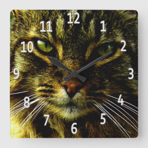 Cat Eyes Hypnotising Framed Photo Square Wall Clock