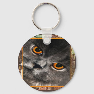 Cat Eyes Keycahin Key Ring