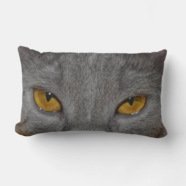 Cat Eyes Lumbar Cushion (Front)