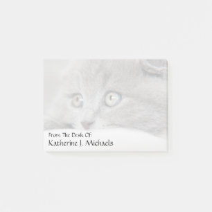 Cat Eyes Post-it Notes
