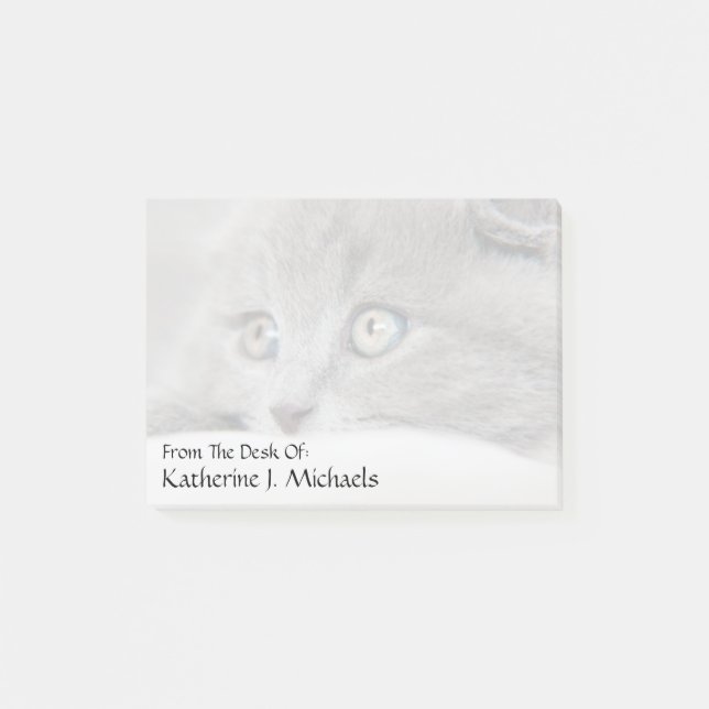 Cat Eyes Post-it Notes (Front)