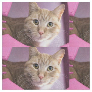 Cat Fabric