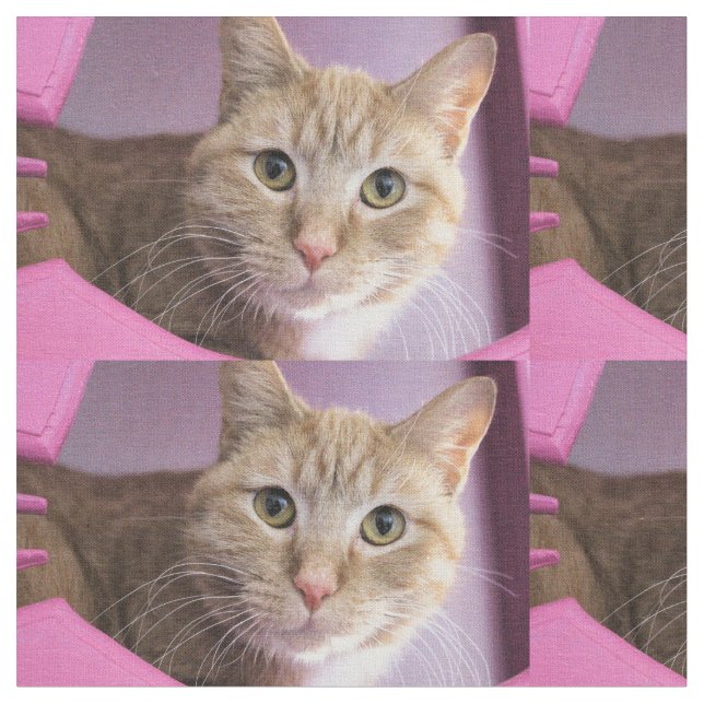 Cat Fabric (Close Up)