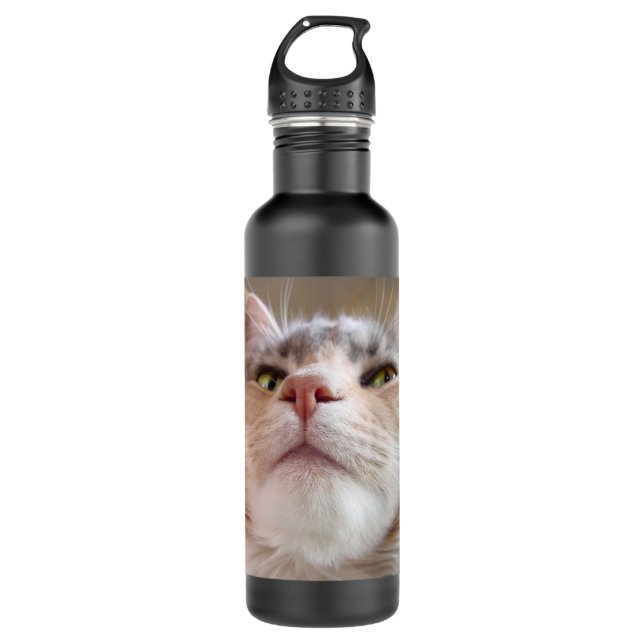 Cat Face 710 Ml Water Bottle (Front)