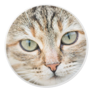 Cat face ceramic knob