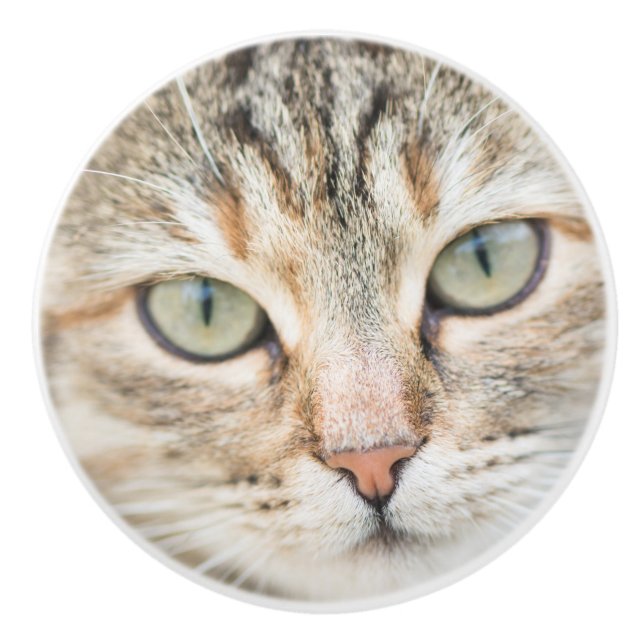 Cat face ceramic knob (Front)