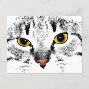 Cat face close up postcard