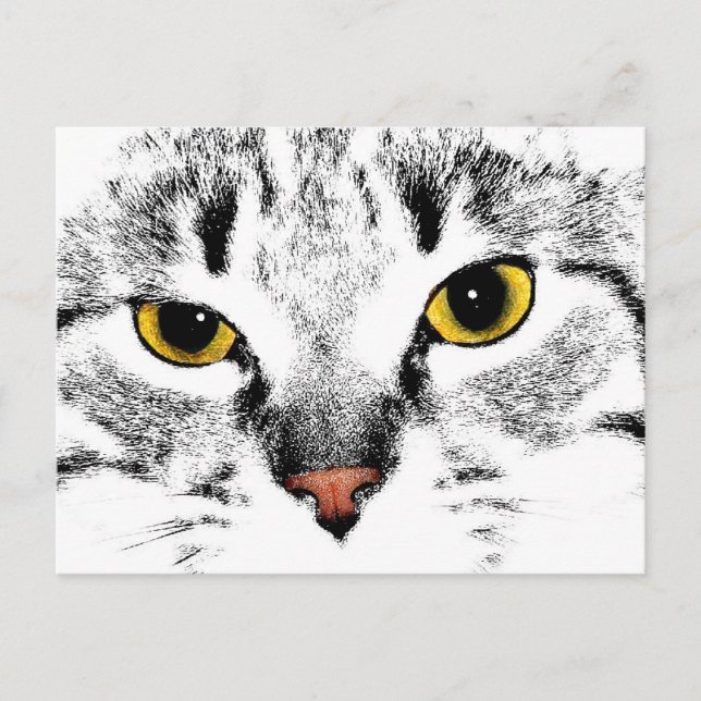 Cat face close up postcard (Front)
