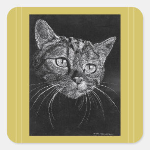 Cat Face Drawing By Mark Edward Westerfield Square Sticker