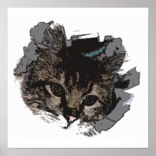 Cat Face - Eyes of Cat Poster Print - Cat Posters
