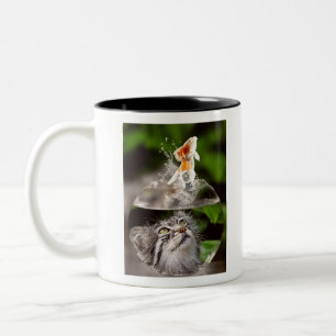 Cat Face Goldfish Glass Close Up View Eyes Two-Tone Coffee Mug