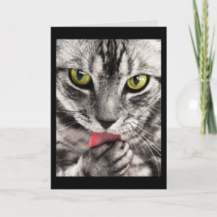cat face greeting card