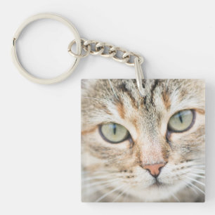 Cat face key ring