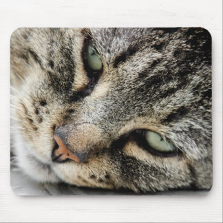 Cat Face Mouse Pad