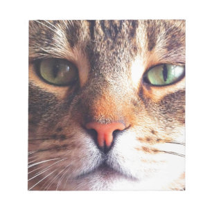 Cat Face Notepad