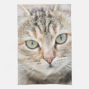 Cat face tea towel