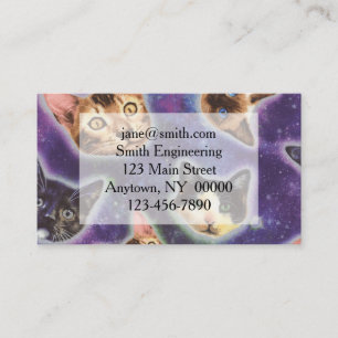 Cat faces with various breeds and patterns business card