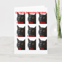 Cat Facial Expressions Explained Chart Cut Out